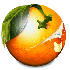BannerZest Standard - Windows