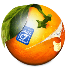 BannerZest Pro - Windows