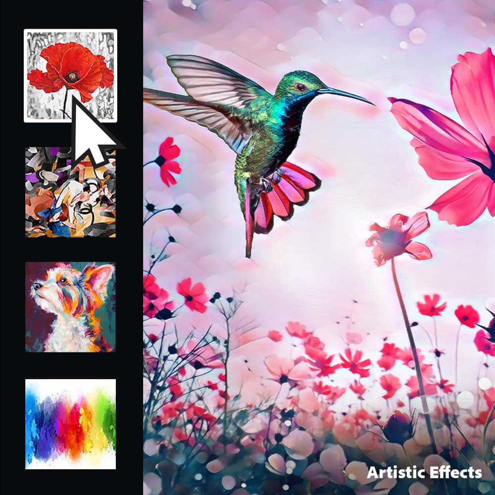 Screenshot Adobe Photoshop Elements 2026 - 2 appareils - Abonnement 3 ans 3