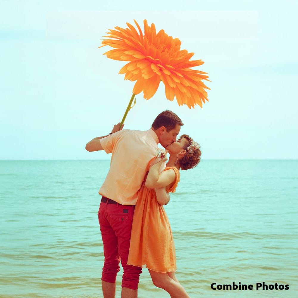 Screenshot Adobe Photoshop Elements 2026 - 2 appareils - Abonnement 3 ans 5