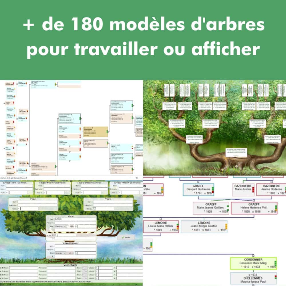 Screenshot Généatique 2025 Classique 500 - 1 utilisateur - licence perpétuelle 2