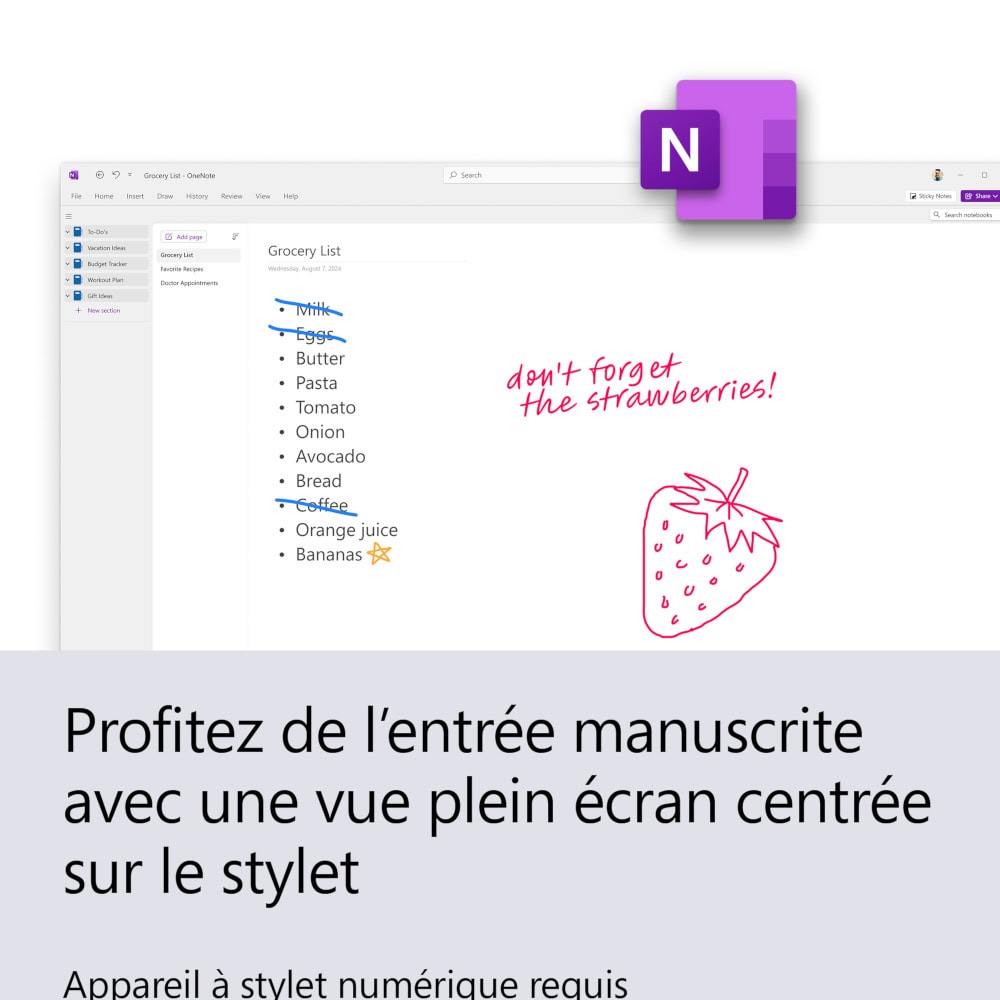 Screenshot Pack Office Famille et Petite Entreprise 2024 - 1 PC/mac - licence perpétuelle + Le Robert Correcteur - 1 poste - licence perpétuelle 3